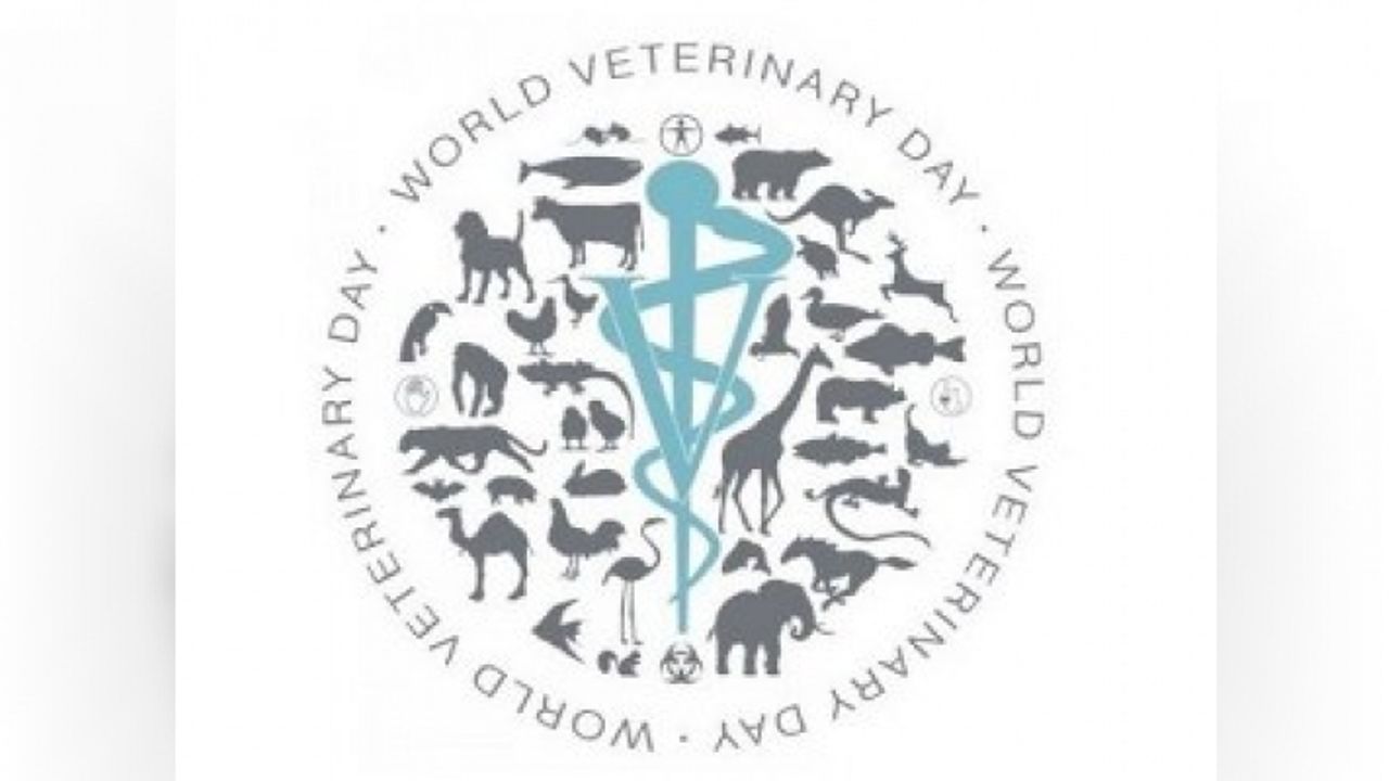 “Beşeri hekimlik insanlar için veteriner hekimlik insanlık içindir”