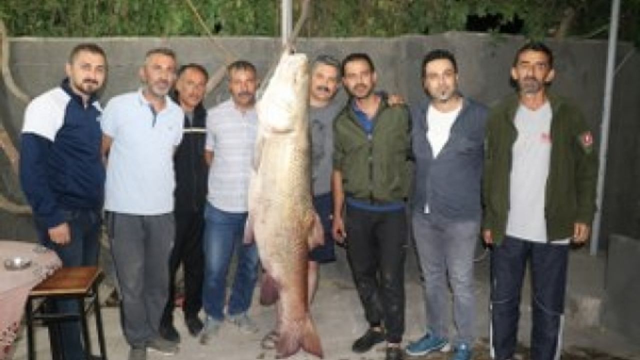 85 kilo 180 cm uzunluğunda turna balığı yakalandı