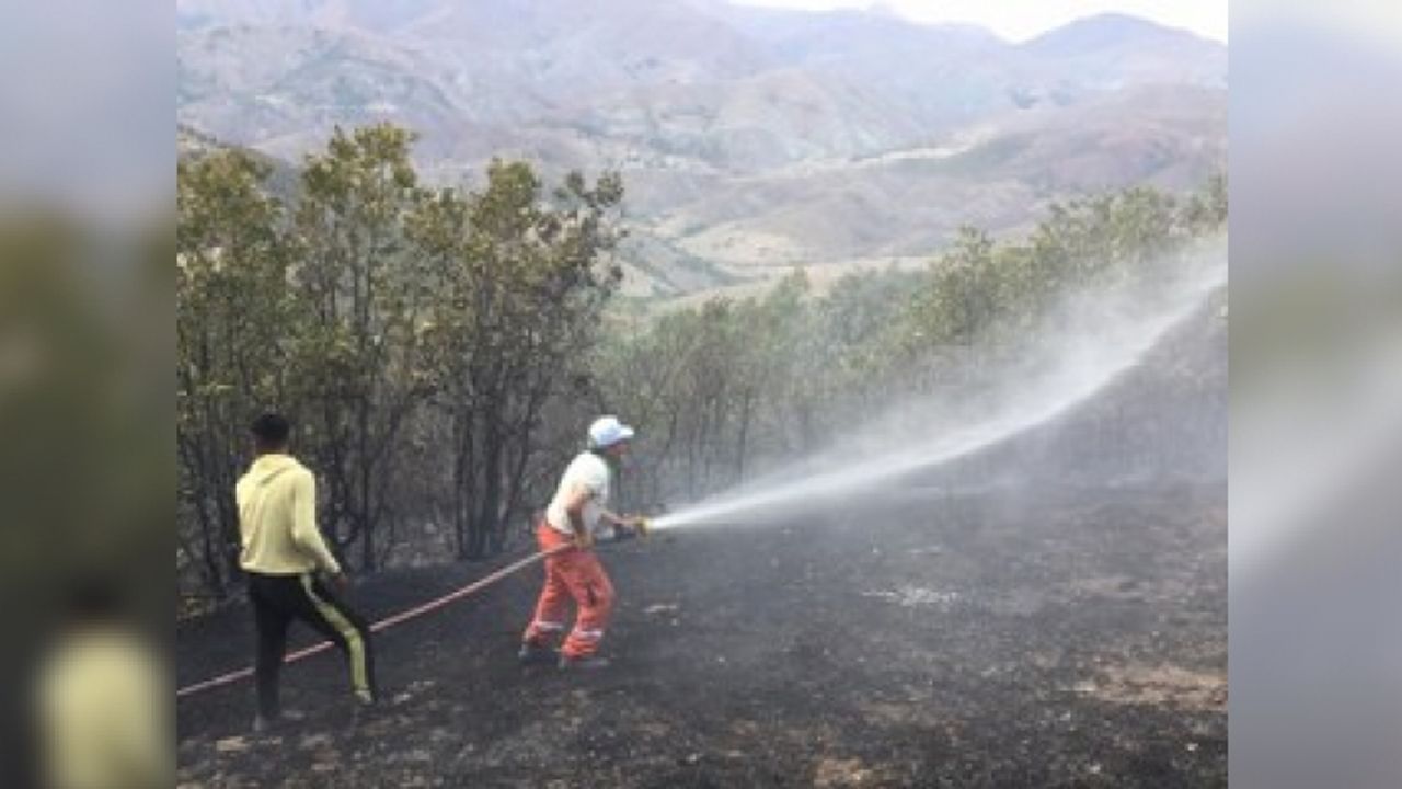 Erzincan'da orman yangını, büyümeden söndürüldü