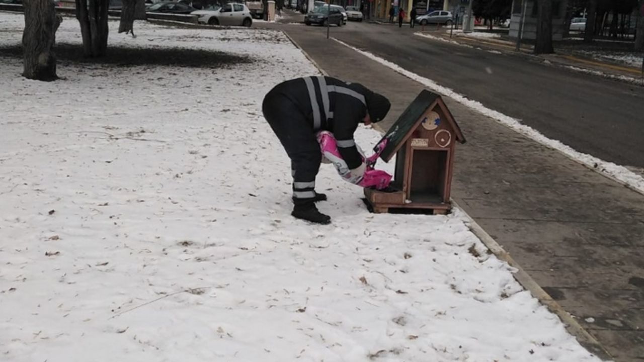 Erzincan Belediyesi soğuktan etkilenen sokak hayvanlarına yem bırakmaya devam ediyor