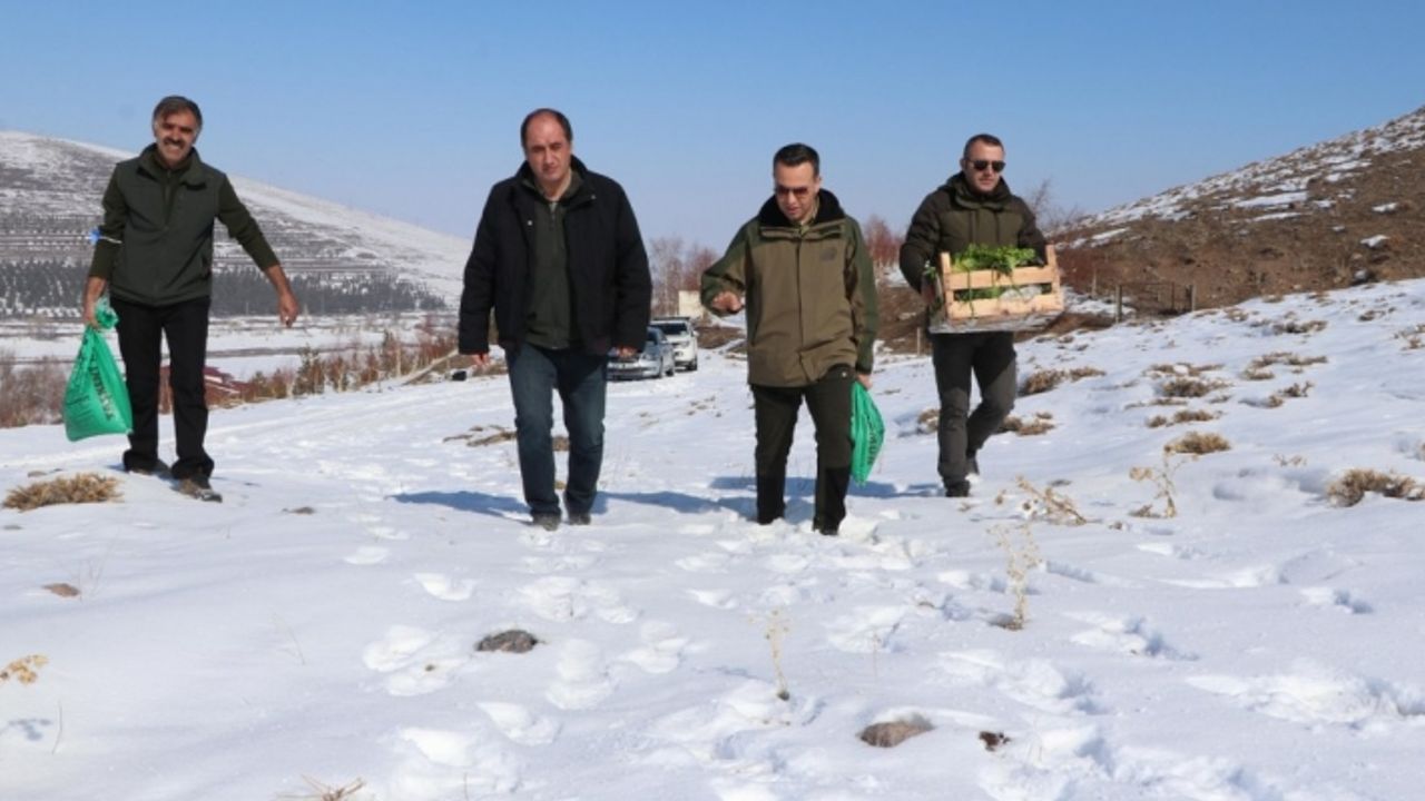 "Doğanın bekçileri" Doğu'da yaban hayatını korumak için karlı arazide iz sürüyor