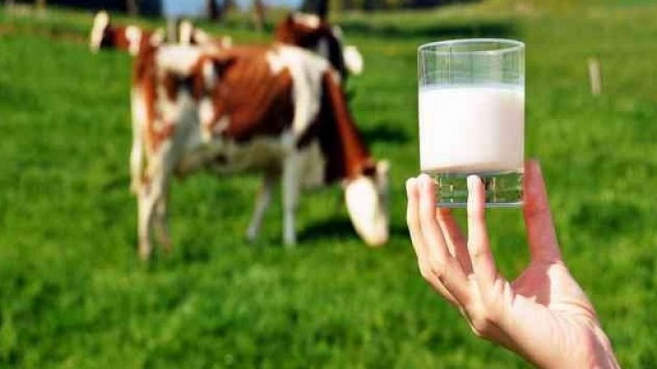 Çiğ süt üretim azaldı