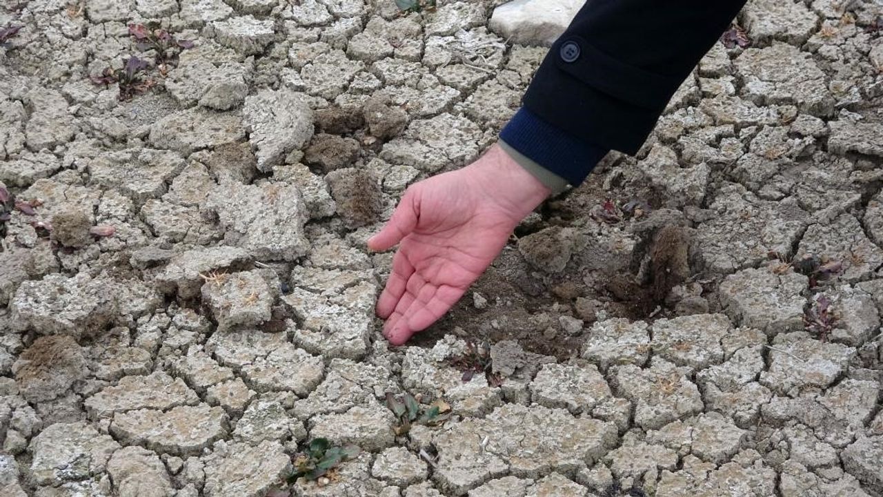 Erzincan'da olağanüstü kuraklık tehlikesi kapıda