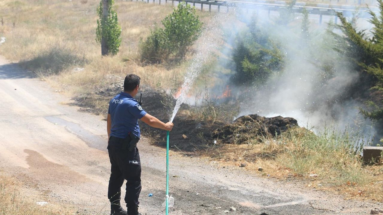 Erzincan polisi anız yangınını önledi