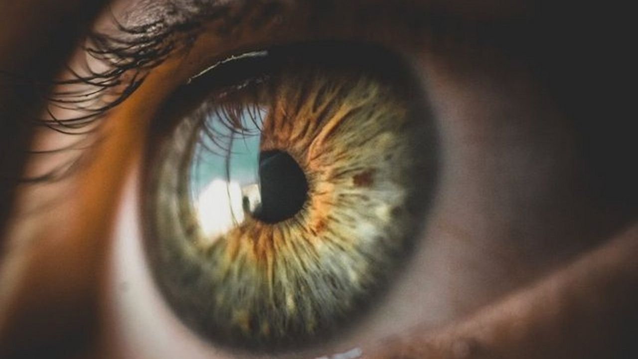 Neden her insanın göz rengi farklıdır?