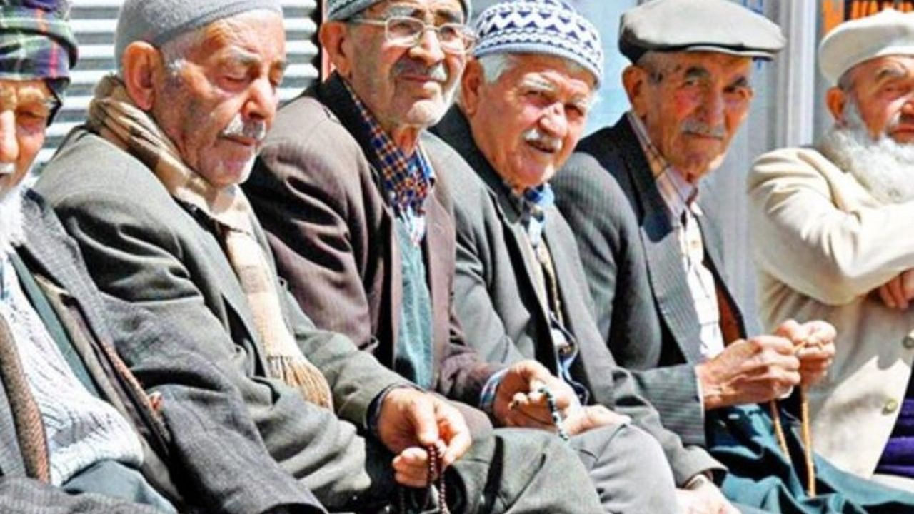 Türkiye'de ilk kez  Yaşlı Profili Araştırması yapılacak