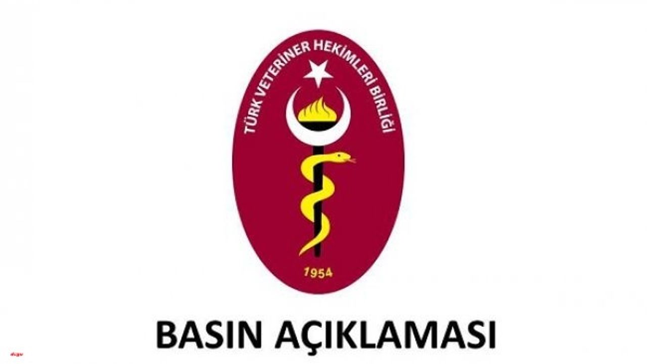 Türk Veteriner Hekimler Birliği: “Darp ediliyoruz, öldürülüyoruz”
