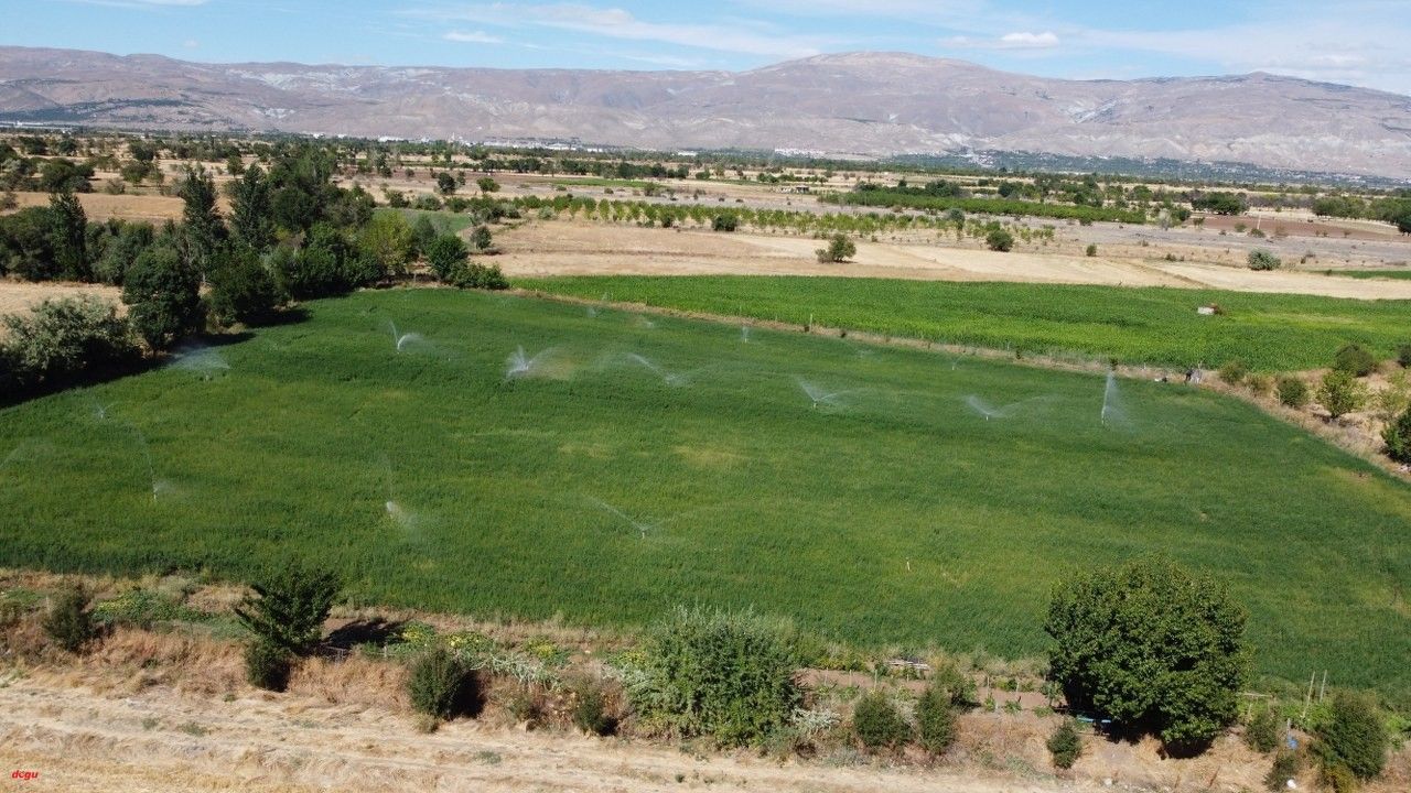 Erzincan'da çiftçilerin modern sistemlerle yaptığı sulama sayesinde su sıkıntısı yaşanmadı