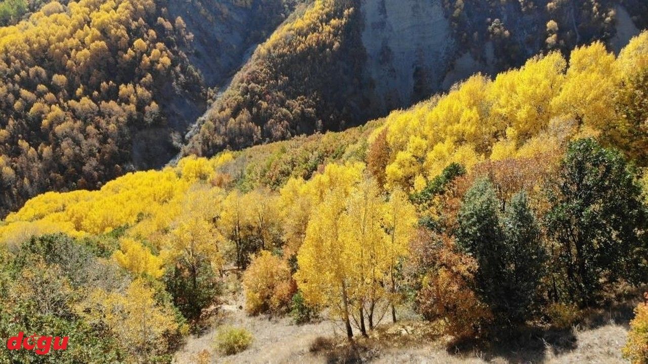 Bir başka güzeldir sonbaharda Erzincan