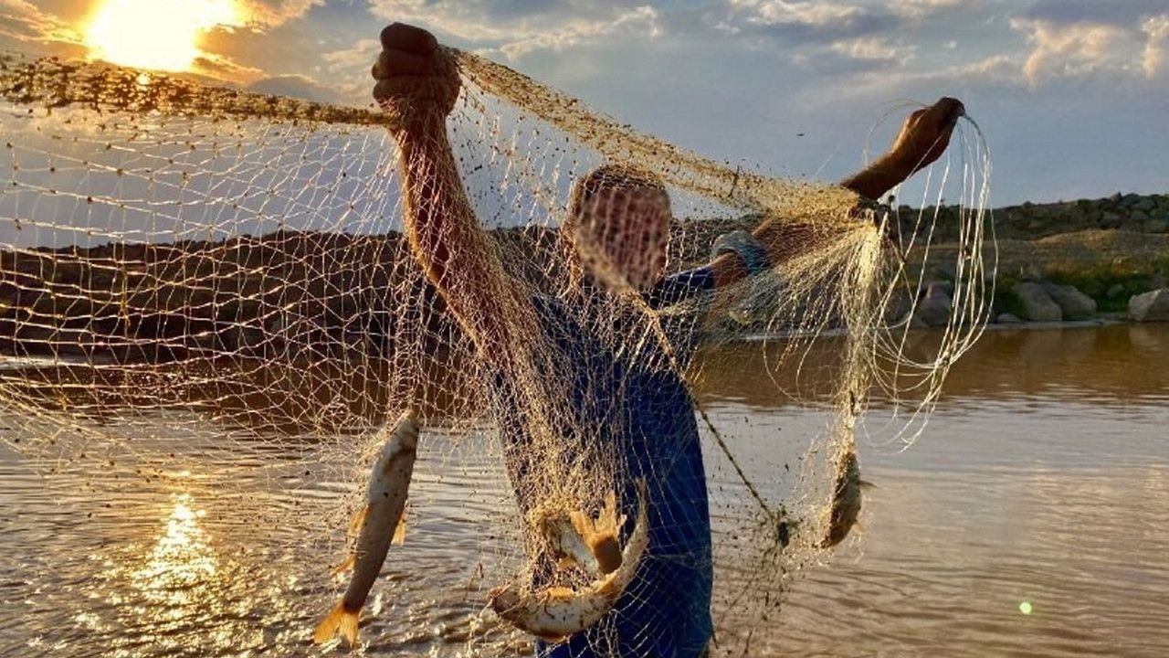 Erzincan’da Alabalık avı yasaklandı