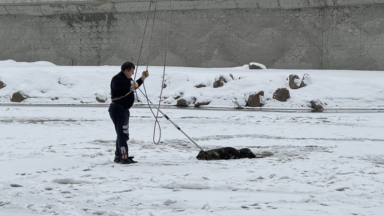 Buzla kaplanan nehrin buzu kırıldı köpek sıkıştı
