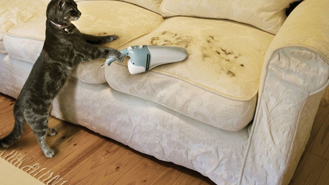 Kedi tüyü nasıl temizlenir?