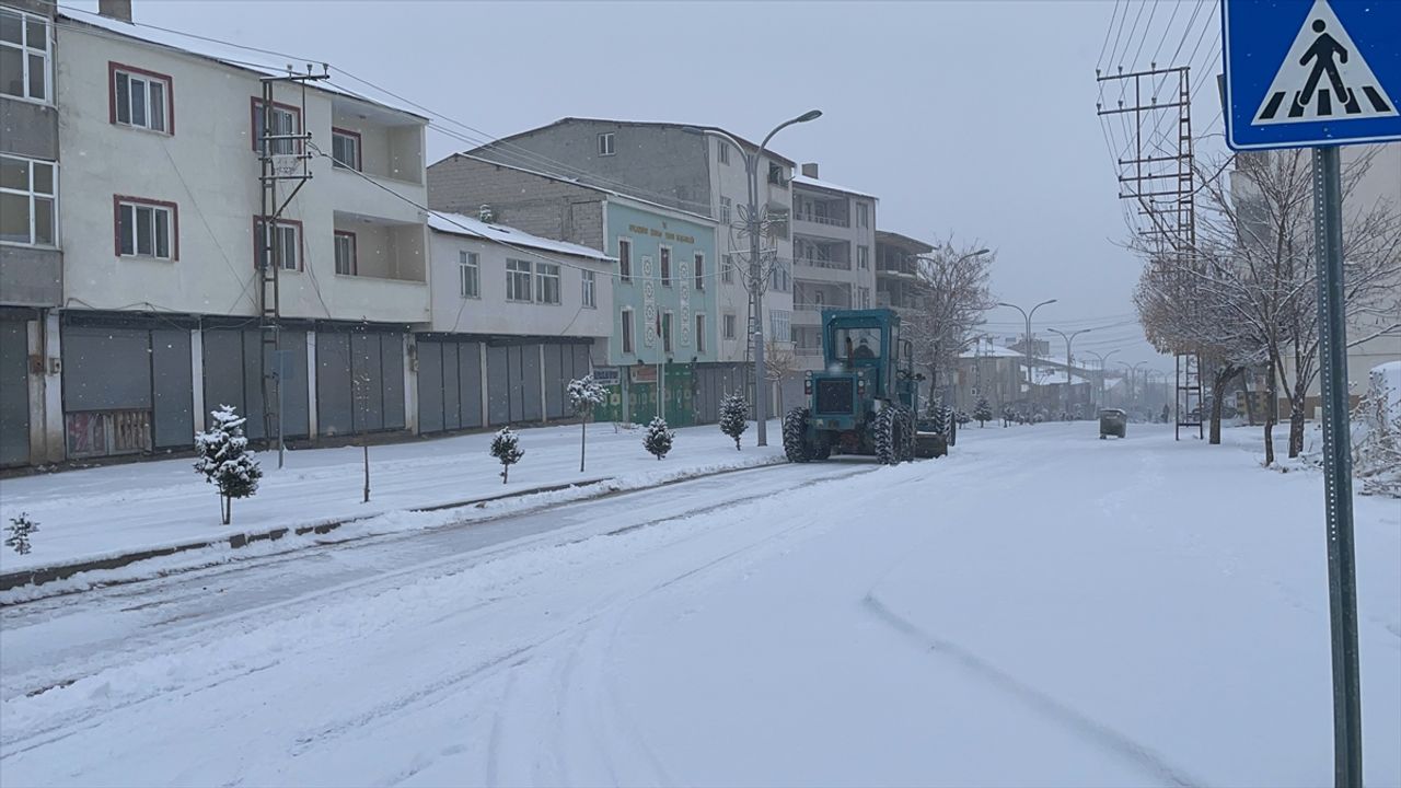 musta kar yagisi 15 koy yolunu kapanmasina neden oldu