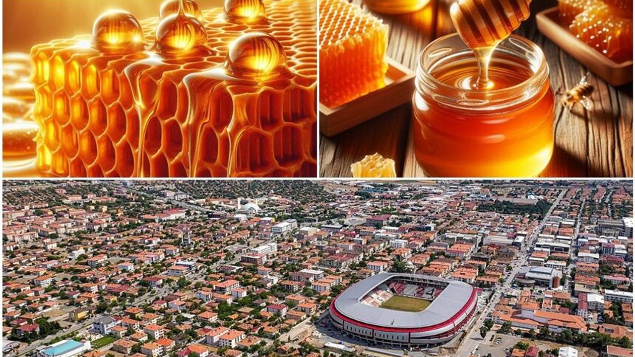 Erzincan Balında Şok! E-Devlet Listesinde “Sahte ve Tağşişli” Ballar Ortaya Çıktı