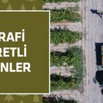 Coğrafi İşaretli Ürünler ile Ticari Markalar Arasındaki Kritik Farklar: Bölge Kimliği ve Hakların Gizemi