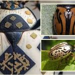 Doğanın Sanatçısı: Calligrapha Böceği Mürekkep Lekesi Gibi Desenleriyle Hayran Bırakıyor!