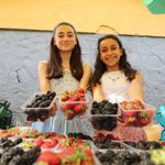 Tatlısu’da Çilek ve Böğürtlen Coşkusu