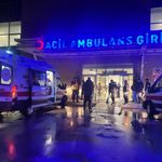 Erzincan'da Ayı Saldırısı: Tercan'da Yaralanan Vatandaş Ameliyata Alındı