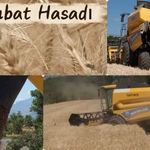 Erzincan Belediyesine Ait 1.095 Dönüm Tarlada Hububat Hasadı Başladı