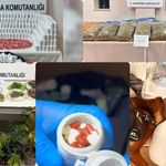 Uyuşturucu Tacirlerine Darbe