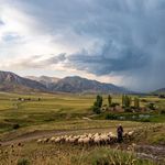 Hafta İçi Erzincan'da Sıcaklık Düşüyor ve Yağış Geliyor!