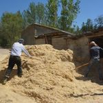 Erzincan'da çiftçinin kış hazırlığı sürüyor