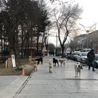 Erzincan