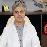 Erzincan