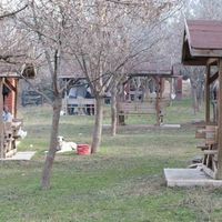 YAŞAM