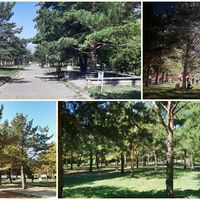 Erzincan