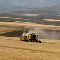Erzincan