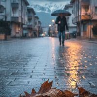 Erzincan