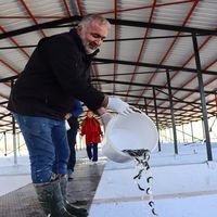 Erzincan