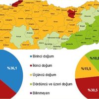 EKONOMİ