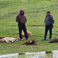 Erzincan