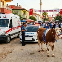Erzincan