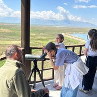 Erzincan