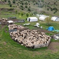 Erzincan