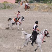 Erzincan