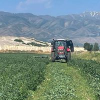 Erzincan