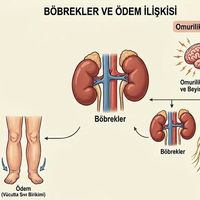 SAĞLIK