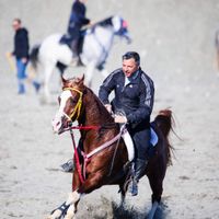 Erzincan