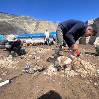 Erzincan