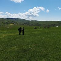 Erzincan