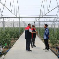 Erzincan