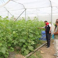 Erzincan