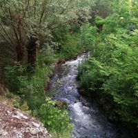 Erzincan