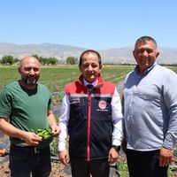 Erzincan
