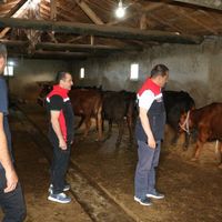 Erzincan