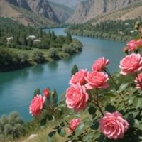 Erzincan